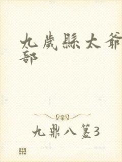 九岁县太爷第二部