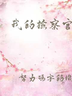 我的检察官先生