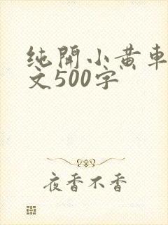 纯开小黄车小短文500字