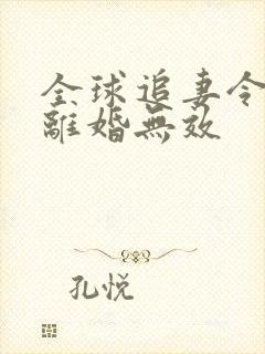 全球追妻令老婆离婚无效