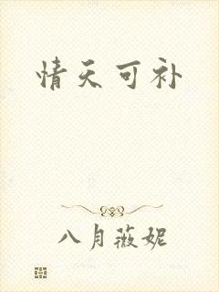 情天可补