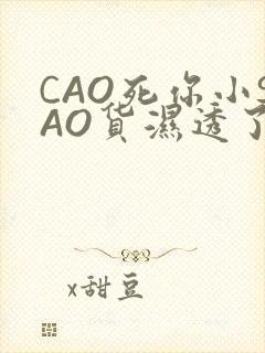 CAO死你小SAO货湿透了学长