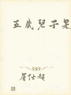 五岁儿子是相公