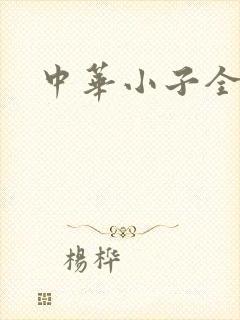 中华小子全集