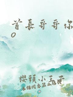 首长哥哥你好po