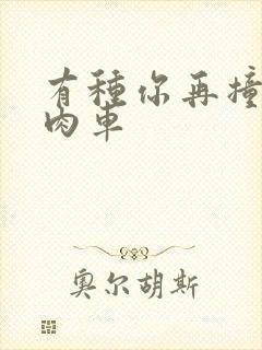 有种你再撞一下肉车