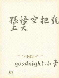 孙悟空把观音日上天