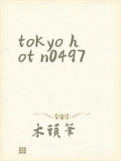 tokyo hot n0497