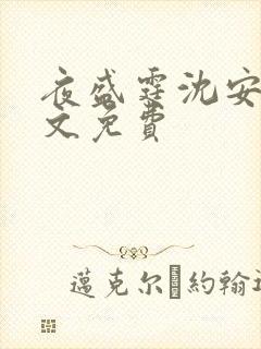 夜盛霆沈安然全文免费