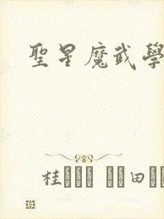 圣星魔武学院