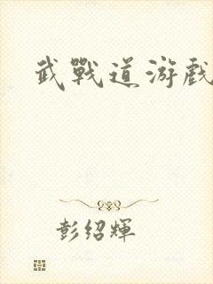 武战道游戏