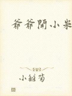 爷爷开小米的包