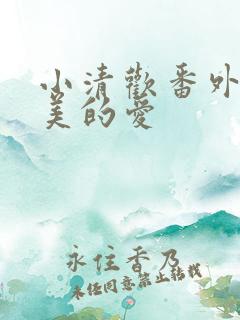 小清欢番外篇完美的爱