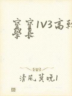 宝宝1V3高干学长