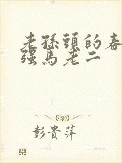 老孙头的春天马强马老二