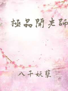 极品开光师阅读