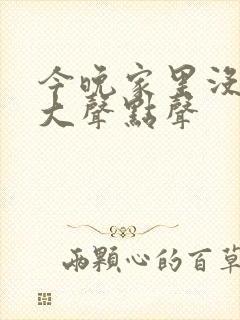 今晚家里没人叫大声点声