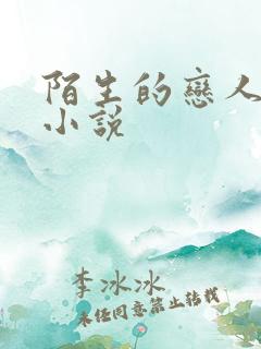 陌生的恋人原著小说