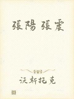 张阳 张震