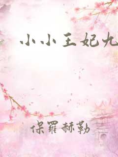 小小王妃九岁半