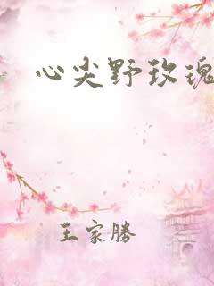 心尖野玫瑰