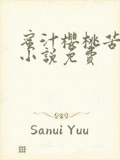 蜜汁樱桃苦咖啡小说免费