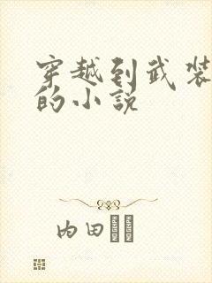 穿越到武装少女的小说