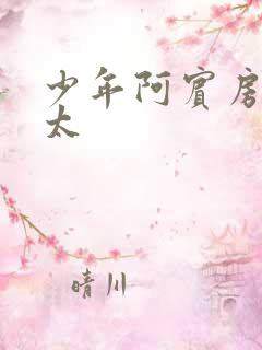 少年阿宾房东太太