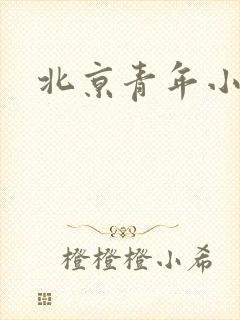 北京青年小说