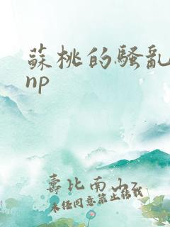 苏桃的骚乱文肉np