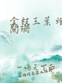 金枝玉叶 灯火阑珊