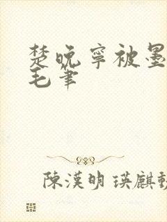 楚晚宁被墨燃塞毛笔