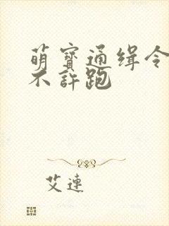 萌宝通缉令妈味不许跑