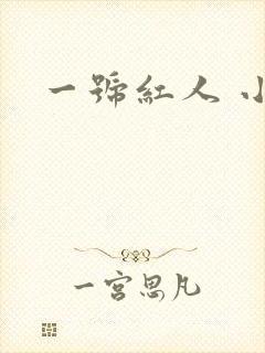 一号红人 小说