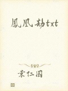 凤凰劫txt