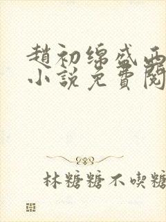 赵初绵盛西舫的小说免费阅读