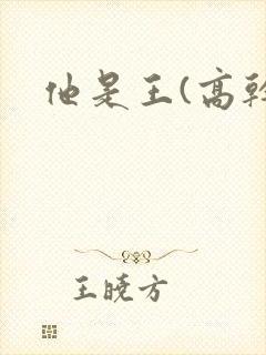 他是王(高干)