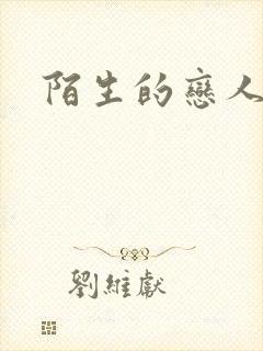 陌生的恋人小说