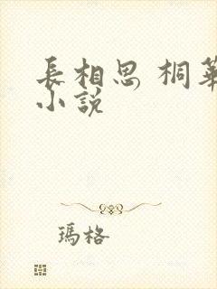 长相思 桐华 小说