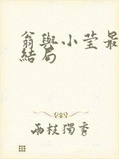 翁与小莹最新大结局