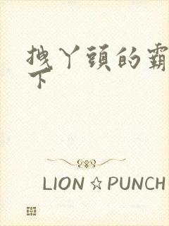 拽丫头的霸道殿下