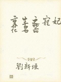 重生之宠妃白莲花名器