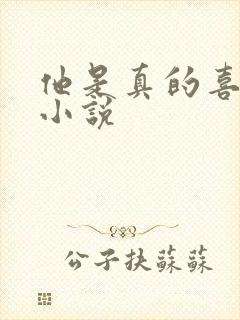 他是真的喜欢你小说