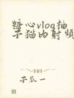 糖心vlog柚子猫内射频