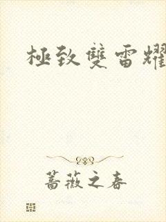 极致双雷耀九天