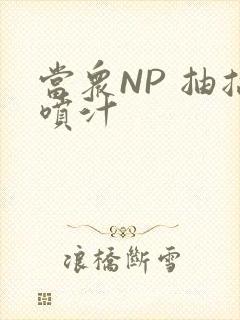 当众NP 抽搐喷汁