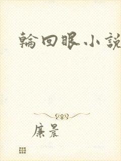 轮回眼小说