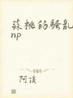 苏桃的骚乱文肉np