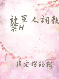 被军人调教到失禁H