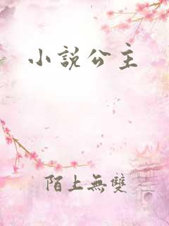 小说公主